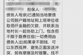 安阳为什么选择专业追讨公司来处理您的债务纠纷？